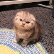 сися масися DANGERPEEK