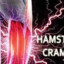 Hamstring Cramp