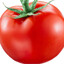 Tomato 🍅