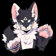 黑巧是只掉毛怪