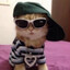 Cool Kitty