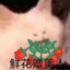 电子木鱼不会遇见紫菜