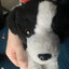 paigedoggy