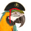 Captain Black&#039;s Parrot