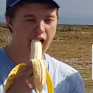 WhalleN