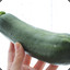 Zucchini