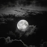 no TALENT | MrBulavka