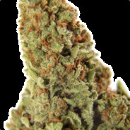 Weed - steam id 76561197965541278