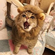 皮卡澄