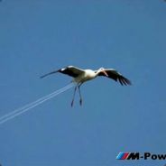 co to sie właczylo? ;D