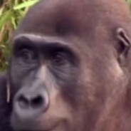 ⚡更喜欢偷井盖⚡