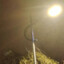 洛and霞