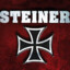 HptmSteiner