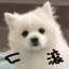 kongba1