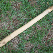 A stick on the ground