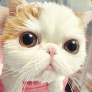 っ似水往昔浮流年゛