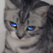 我的哈沃克又红又肿