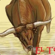[DoN] El Toro