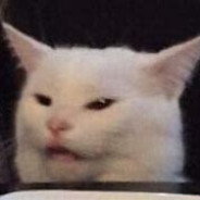 Čãt¿