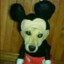 HABBUT_MYNAH