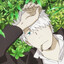 Ginko