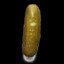 Pickle!?