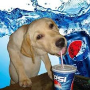 Pepsi Dog