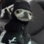 CHITownBoss