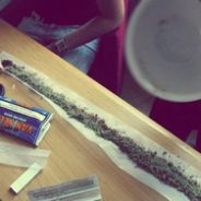 Jamaican Pearl (Moladin)