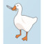 Sir_Goose