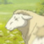 Sheep from Vinland Saga