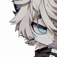 闽楠furry