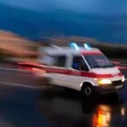 你没有自己的爸爸吗