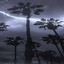 Chidori