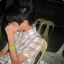 cRc.rOn3L &lt;3