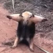 Dymar - steam id 76561199005278447