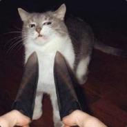 佩服许仙曰过蛇