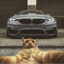 IVAN_GTR