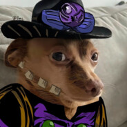 University of Washington