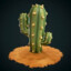 Cactus