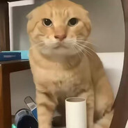 帝国の絶凶虎！圆头耄