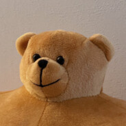 SmallHeadBear