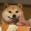 不上川大不改名