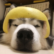 炸鱼作弊狗m死了全甲没