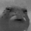 Buldozerrr's avatar