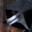 AUREUS_WOLF