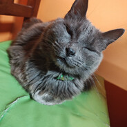 Kami