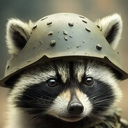 I'm a raccoon!