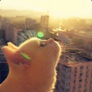 仗剑天涯的小胖