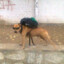 Biske